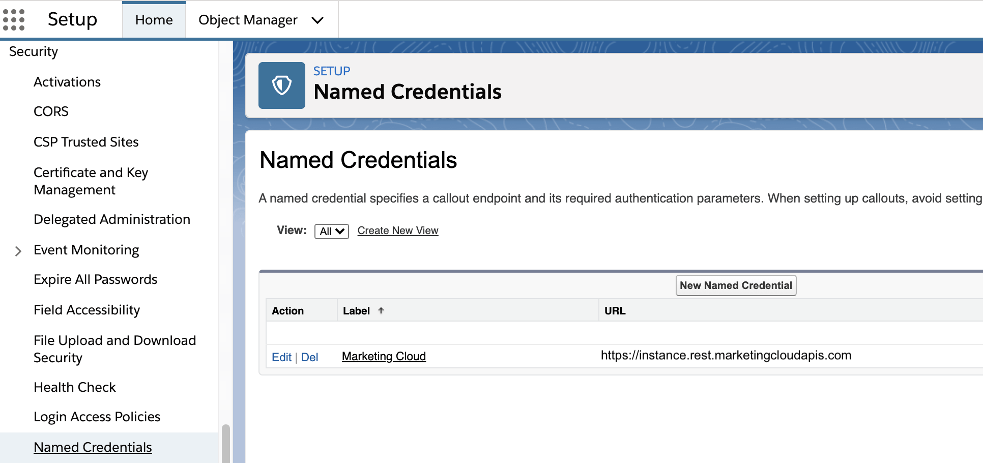 Named credentials setup area