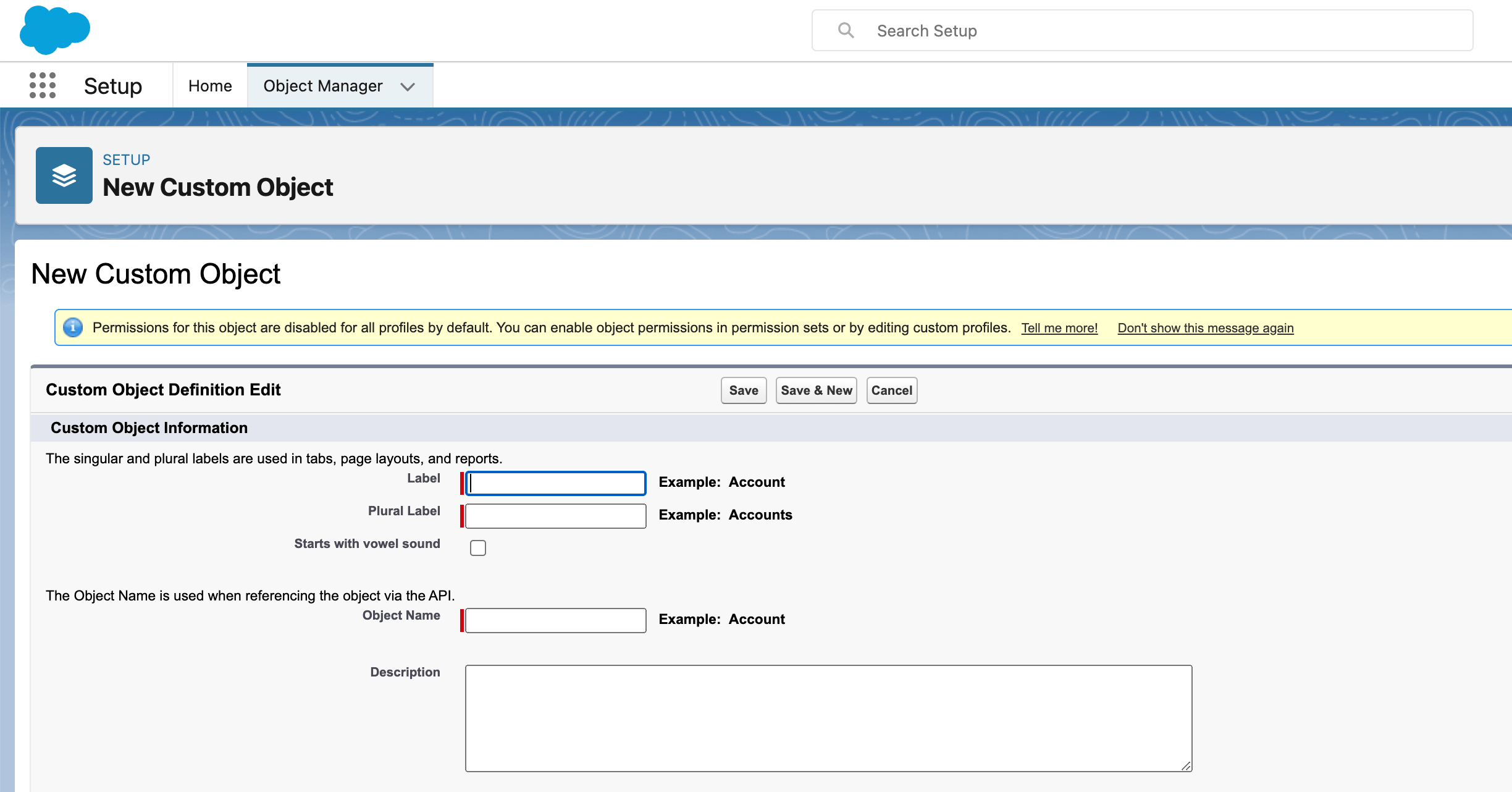 salesforce-custom-objects-db-services