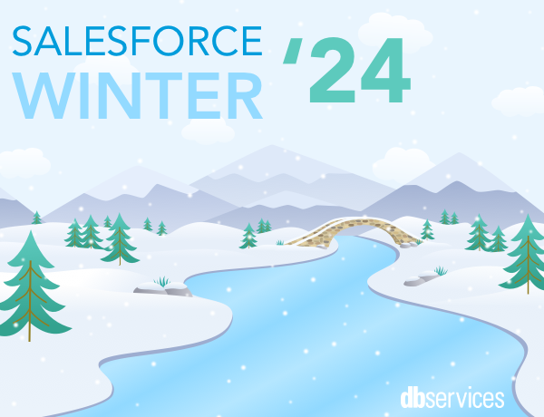 salesforce winter 24 release notes db services