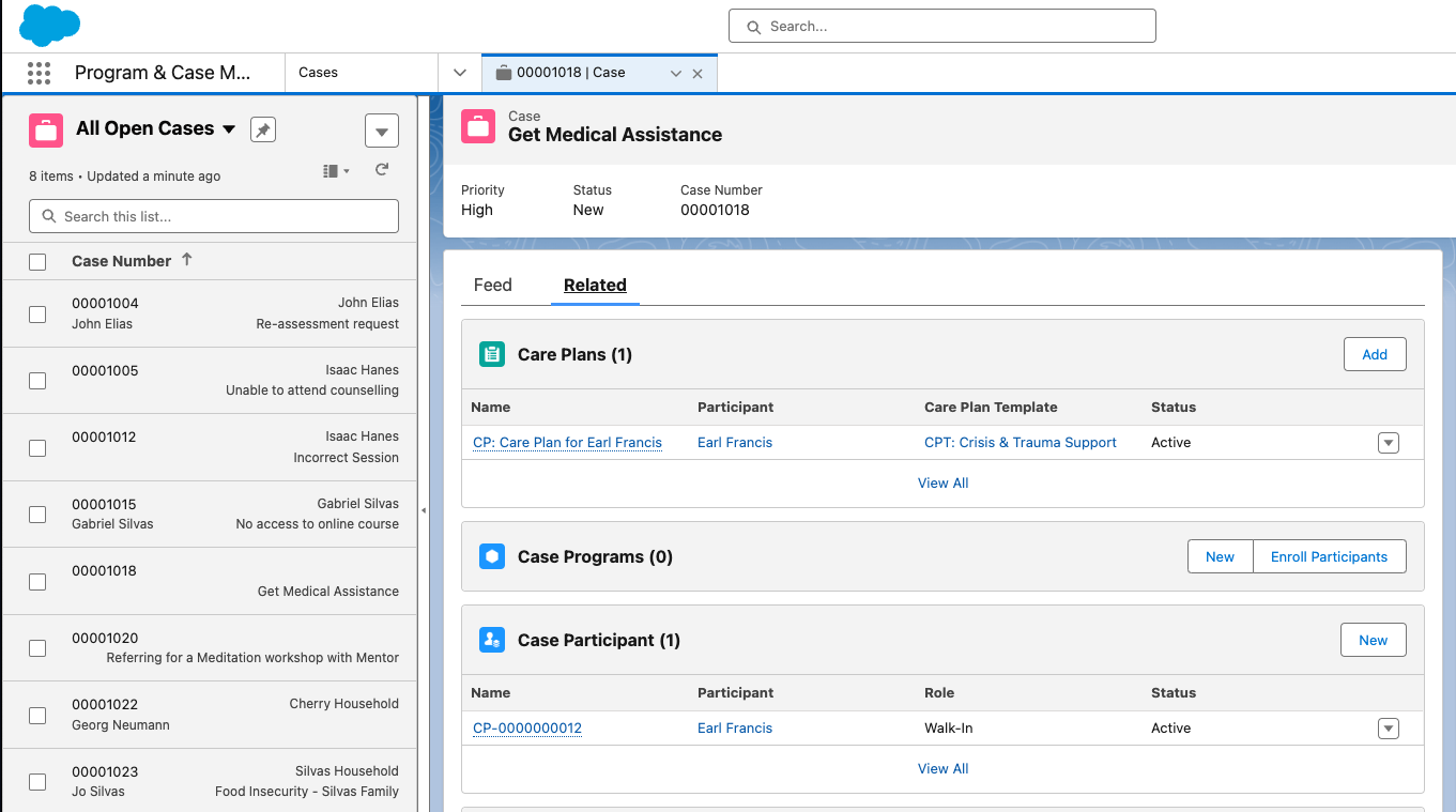 salesforce new nonprofit cloud case management