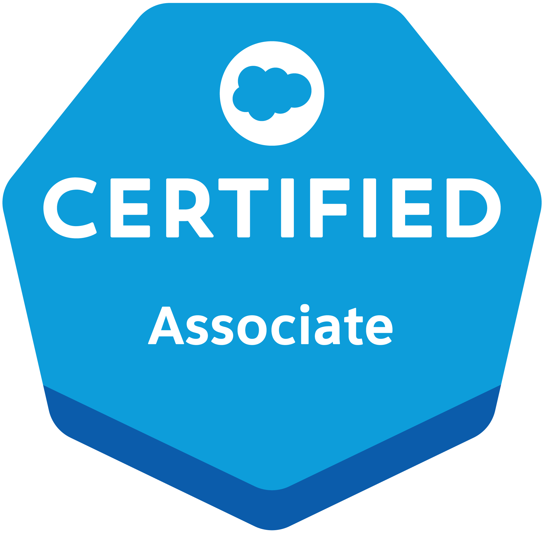 salesforce certified associate