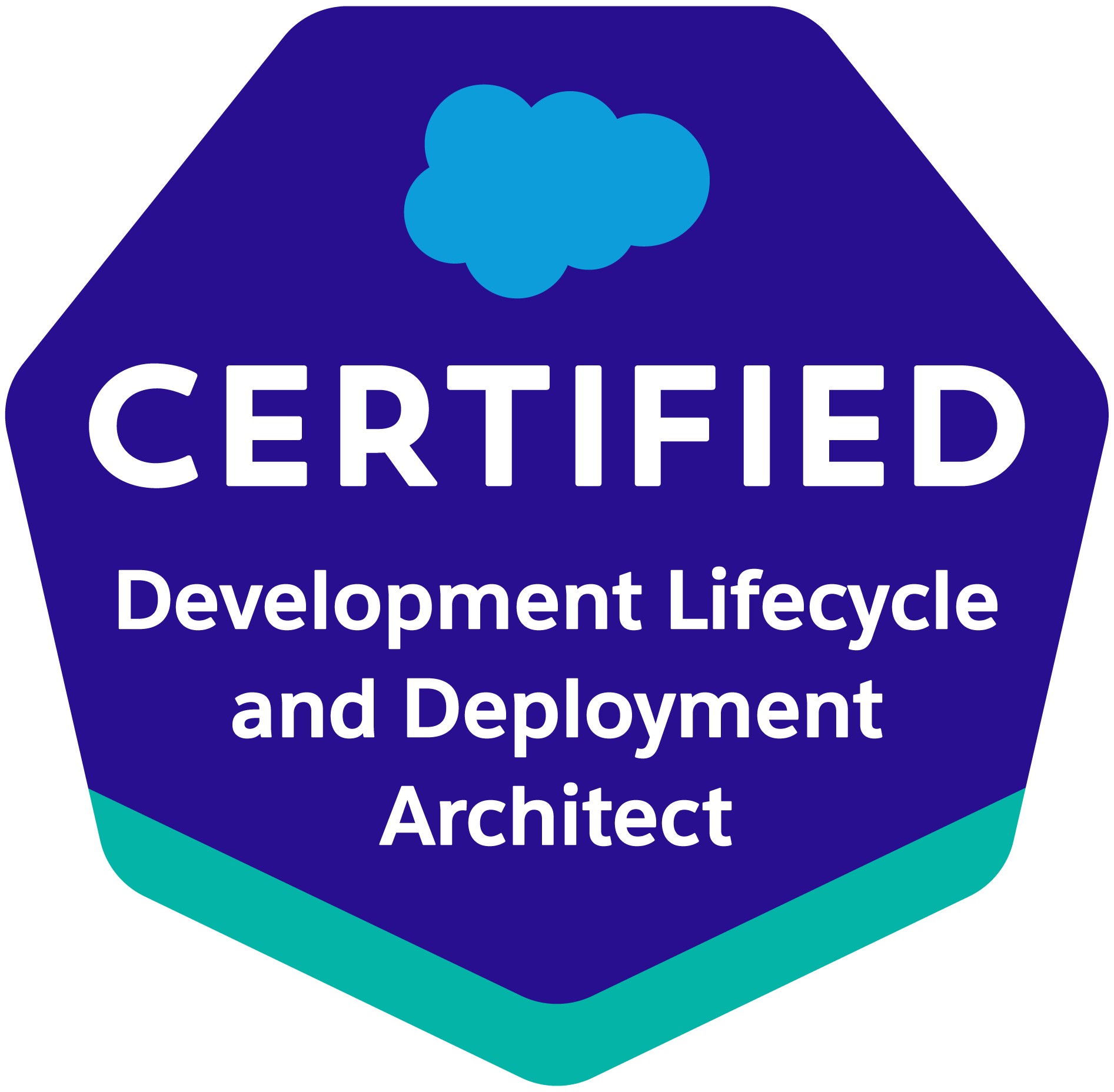 Development-Lifecycle-and-Deployment-Architect Buch