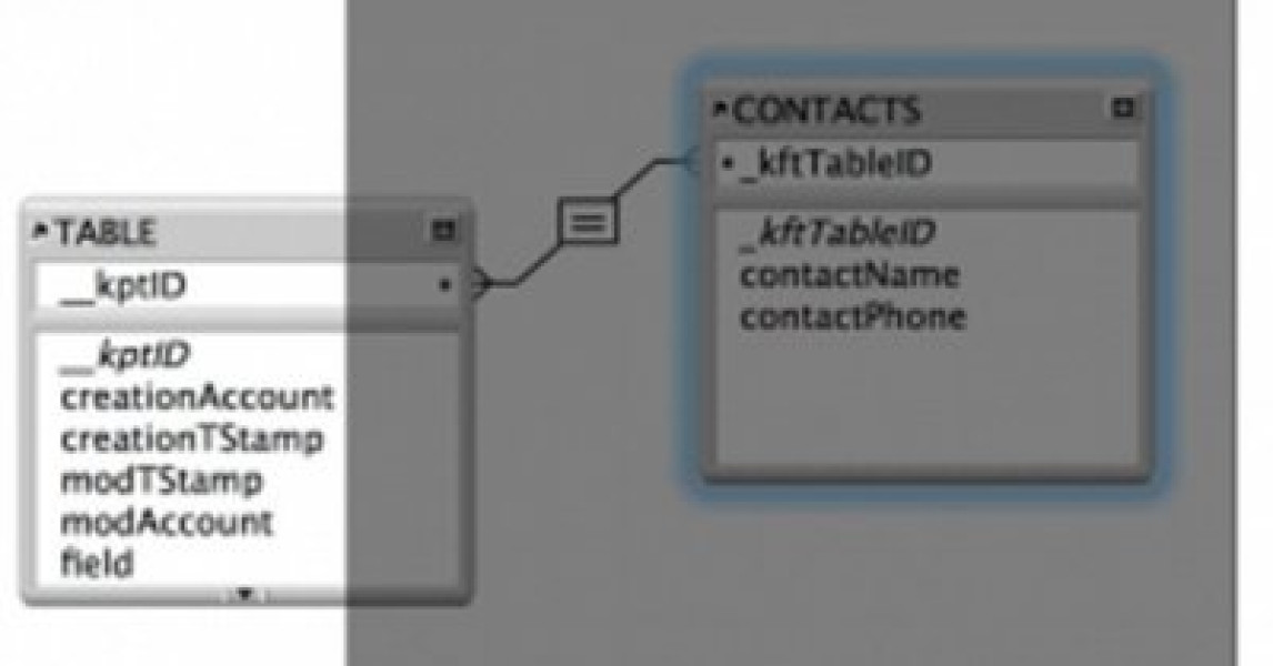 FileMaker Relationship Graph - What They Didn't Tell You | DB Services