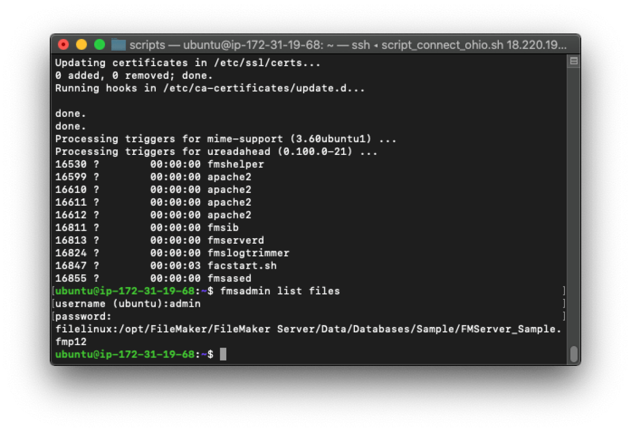 Checking the FileMaker Server installation.