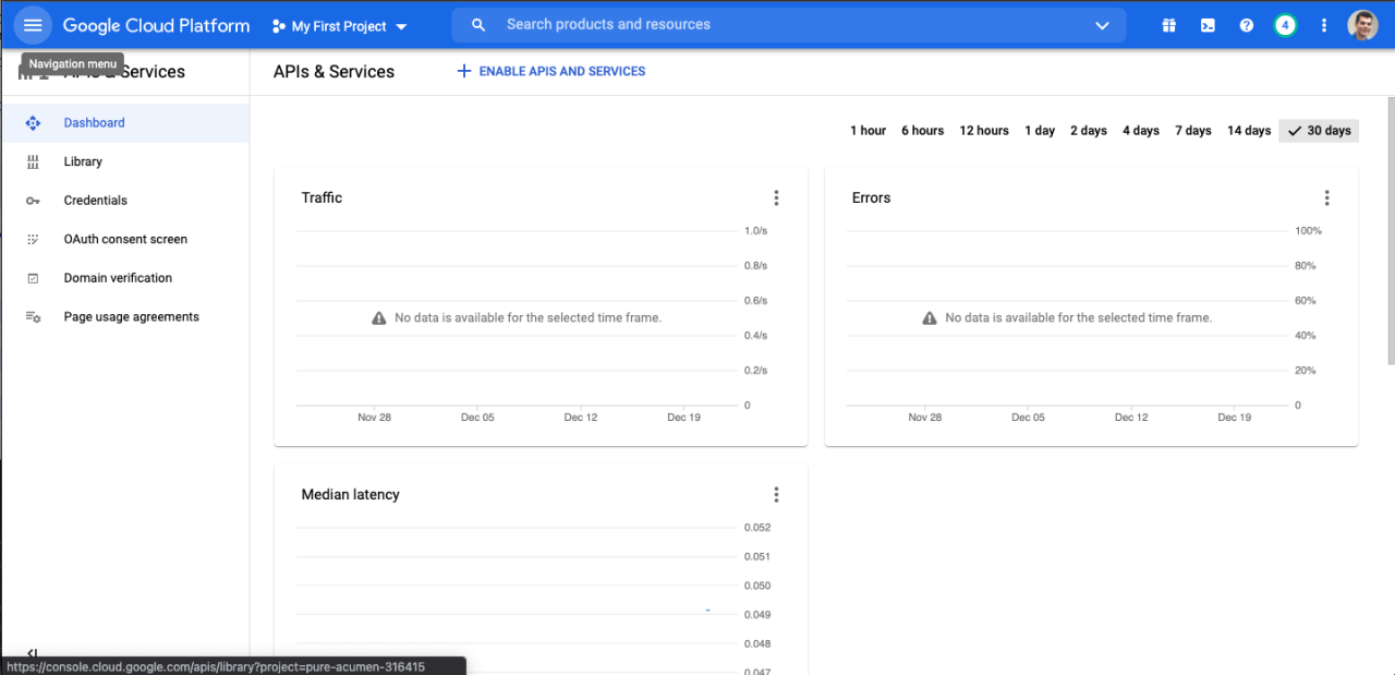 Google Developer Console Dashboard.