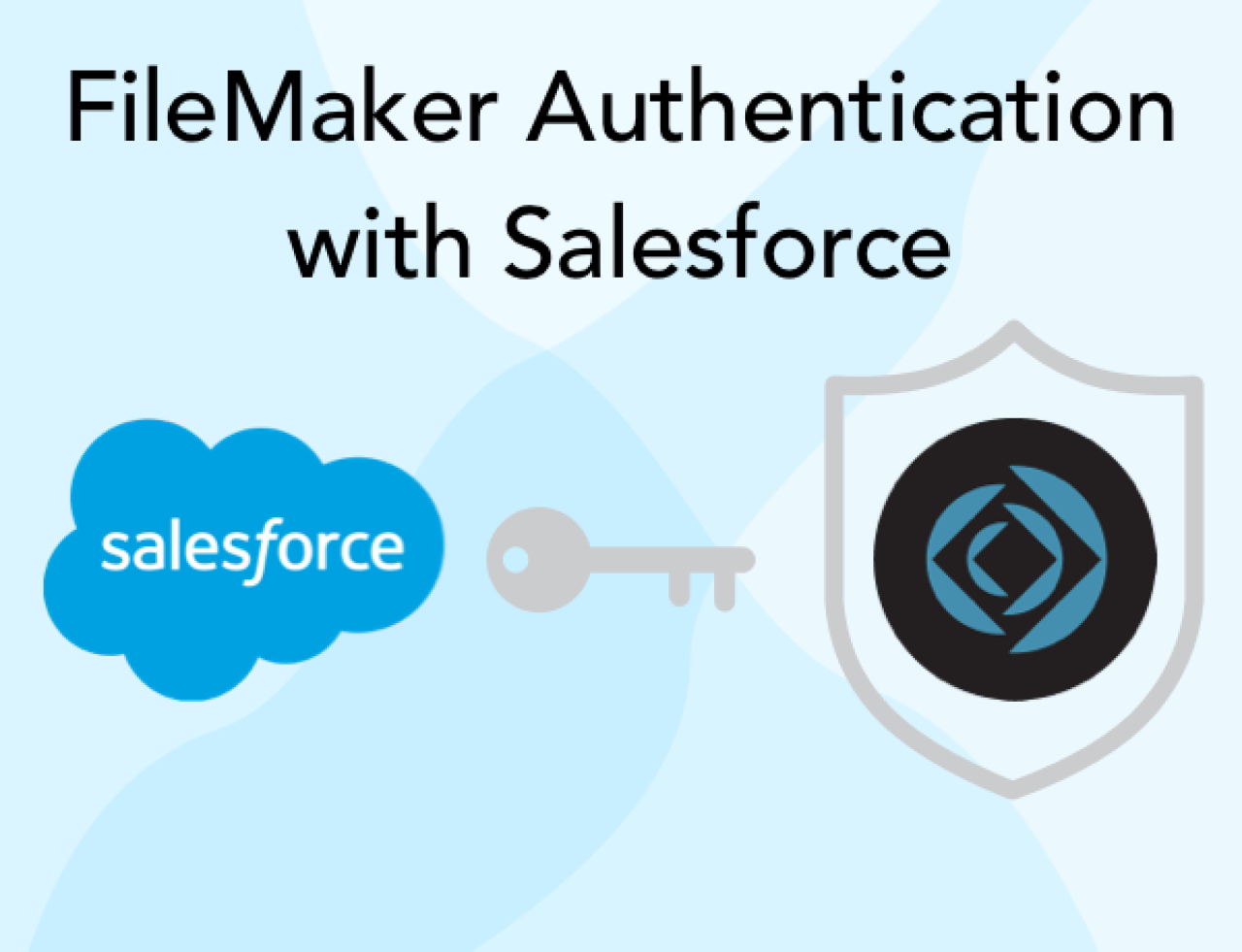 FileMaker Authentication with Salesforce.