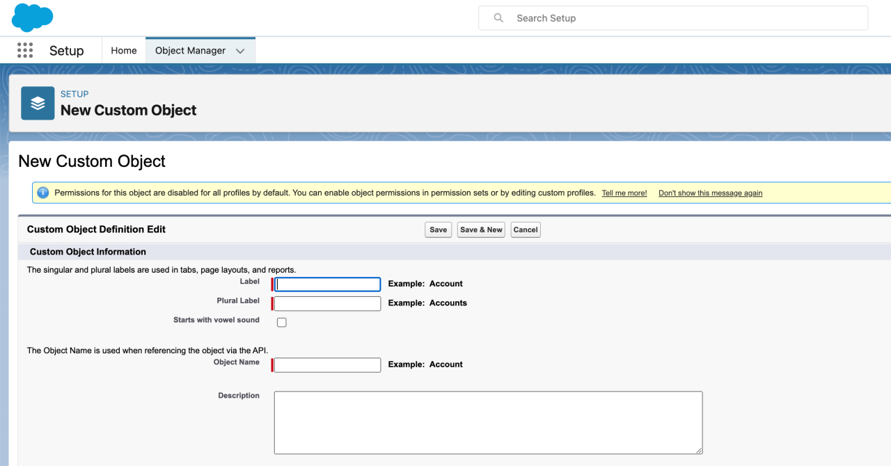 salesforce custom objects.