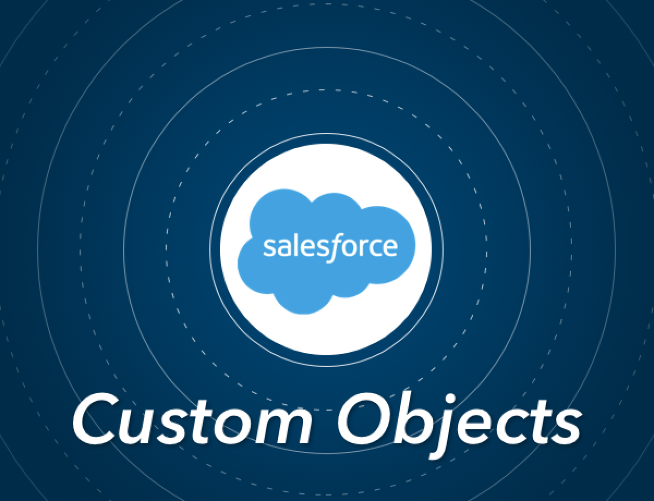 salesforce custom objects.