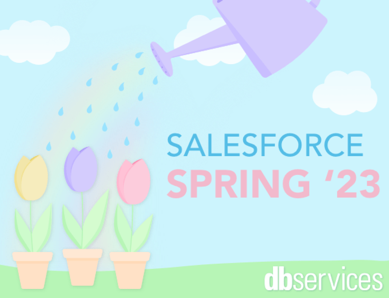 salesforce spring 23 release notes db services.
