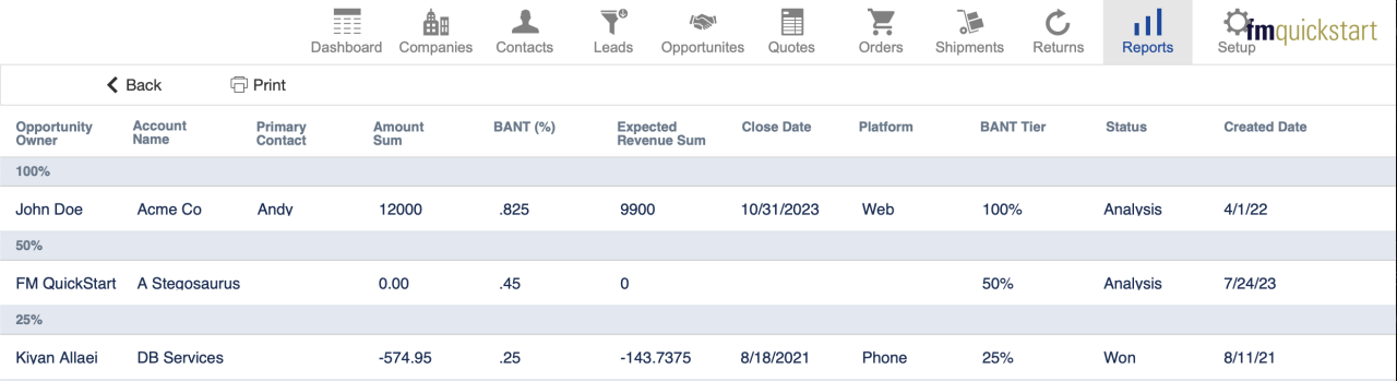 filemaker template fm quickstart bant open opportunities report.