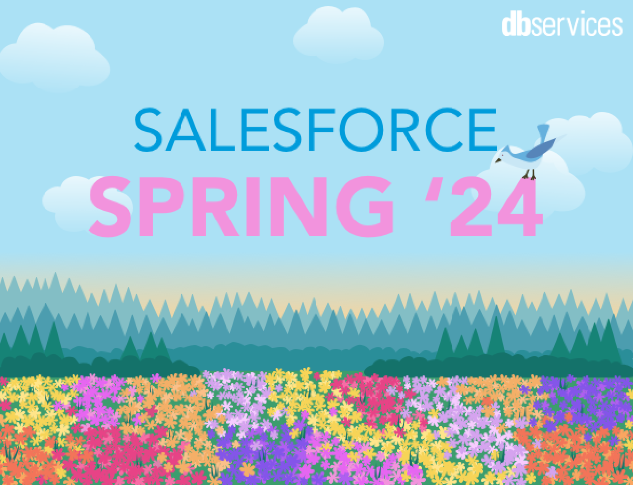 salesforce spring 24 release.