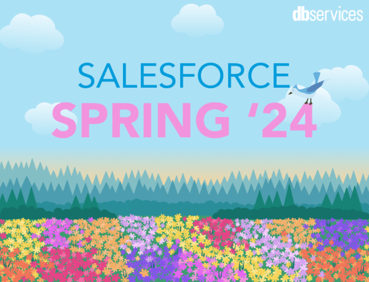 Salesforce Spring '24 Highlights DB Services