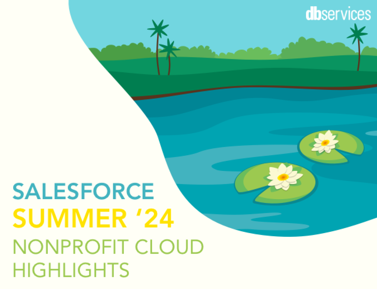 salesforce summer 24 nonprofit cloud release highlights db services.