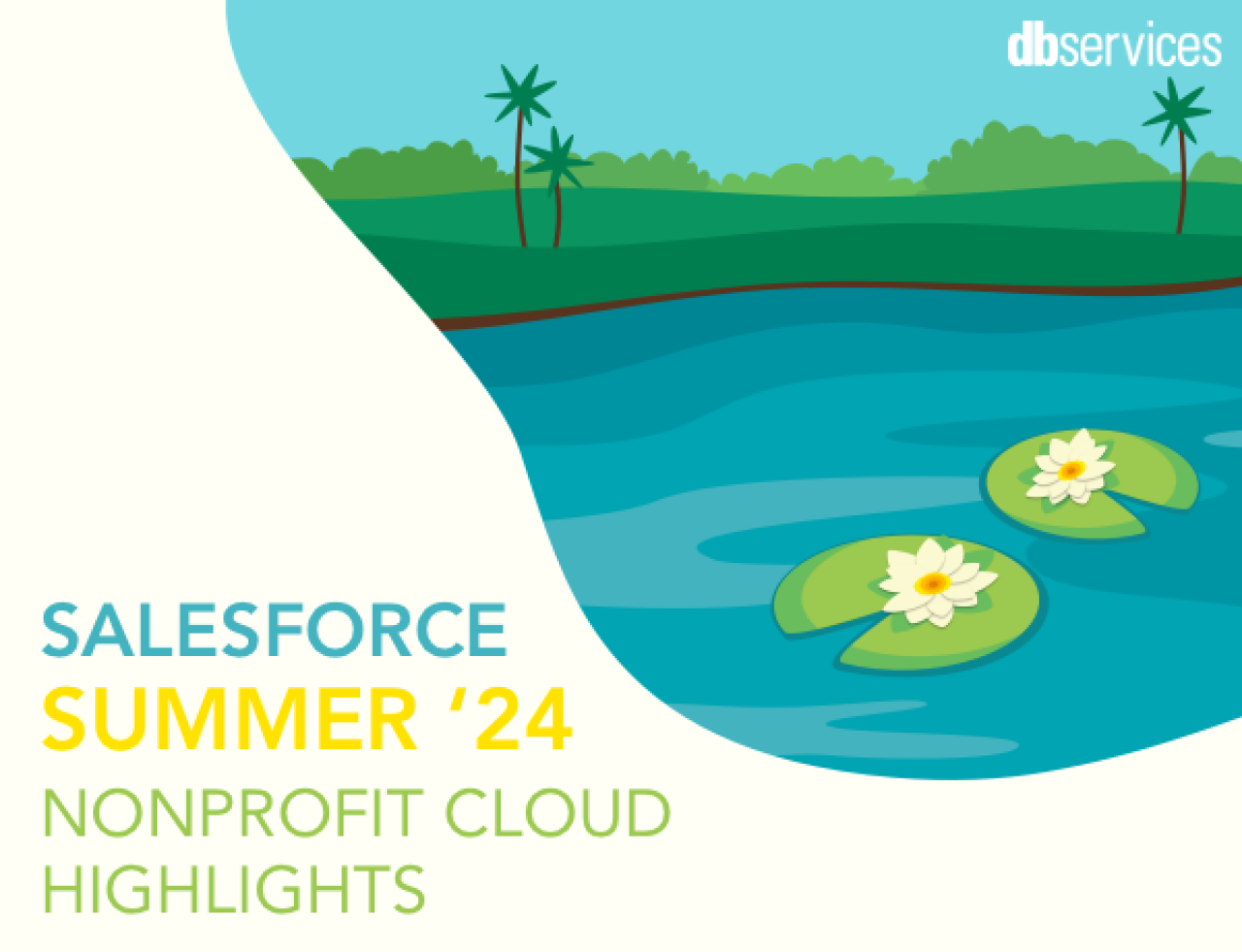 Salesforce Nonprofit Cloud Summer '24 Highlights DB Services