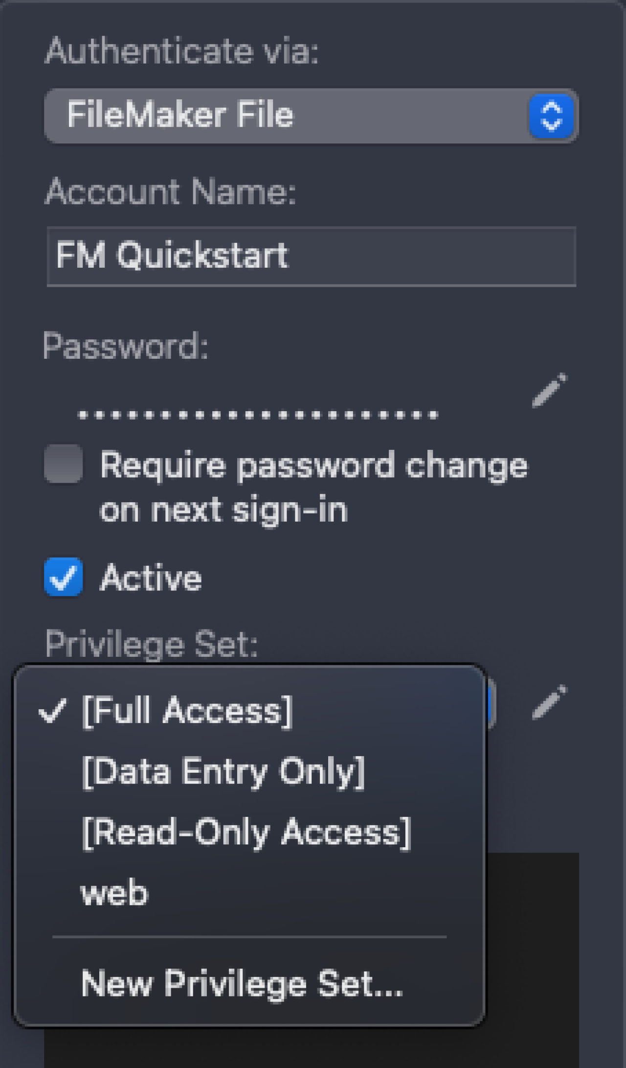 filemaker security options.