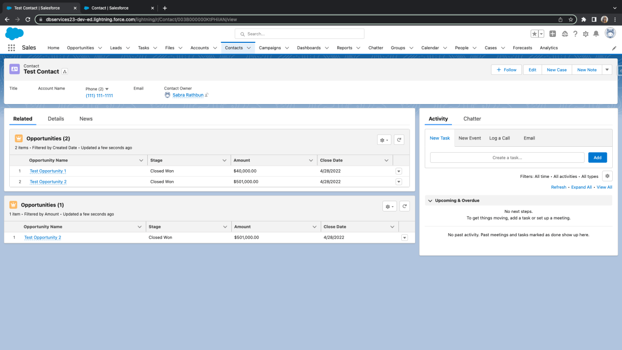 salesforce results for two dynamic related lists single.