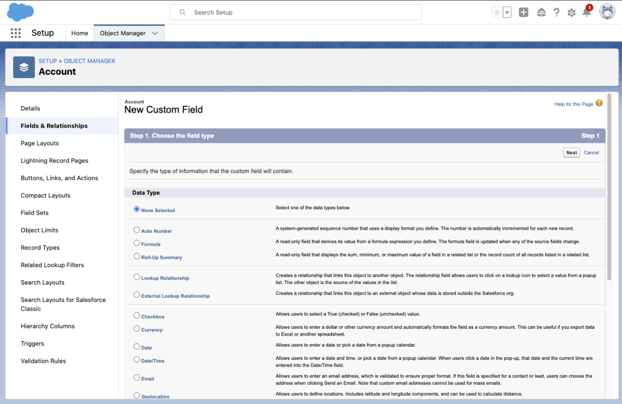Salesforce Custom Fields.
