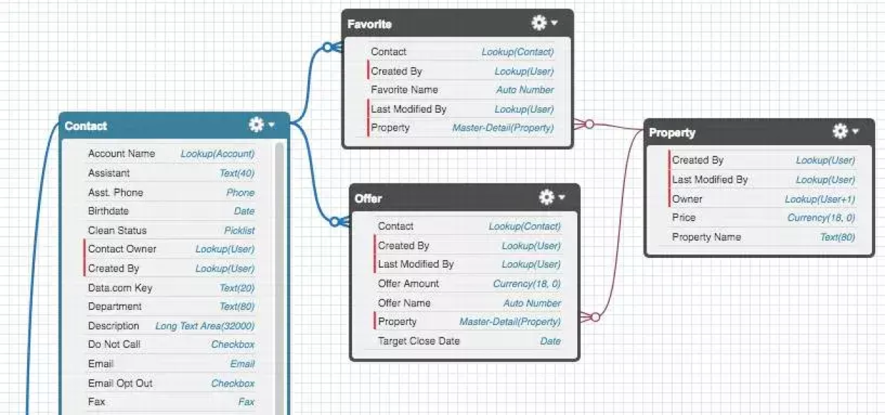 salesforce custom objects schema builder.