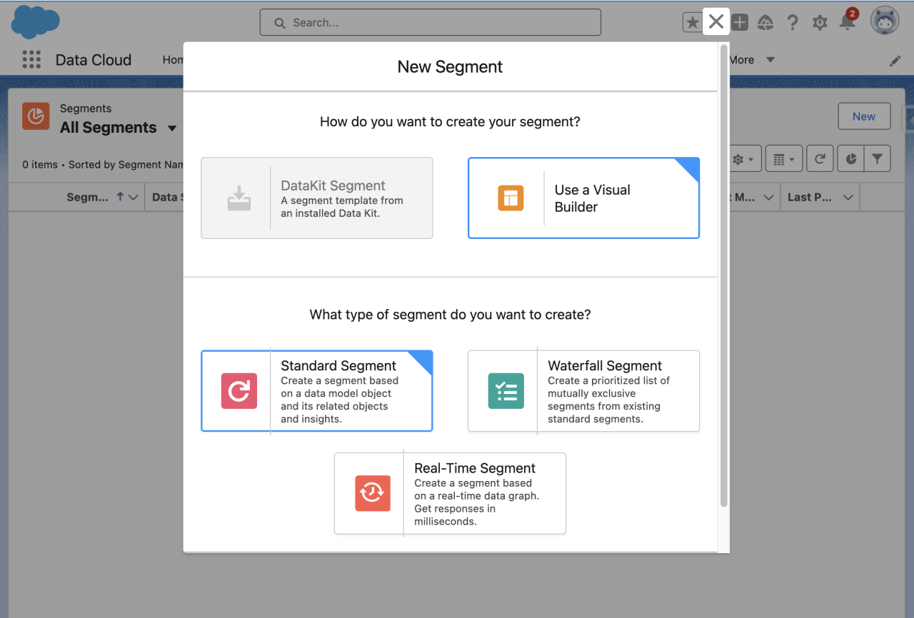 salesforce nonprofit cloud data cloud segmenting.