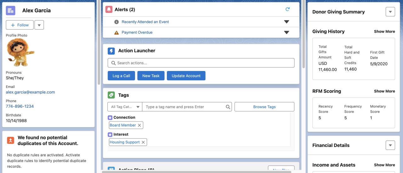 salesforce nonprofit cloud donor profile.