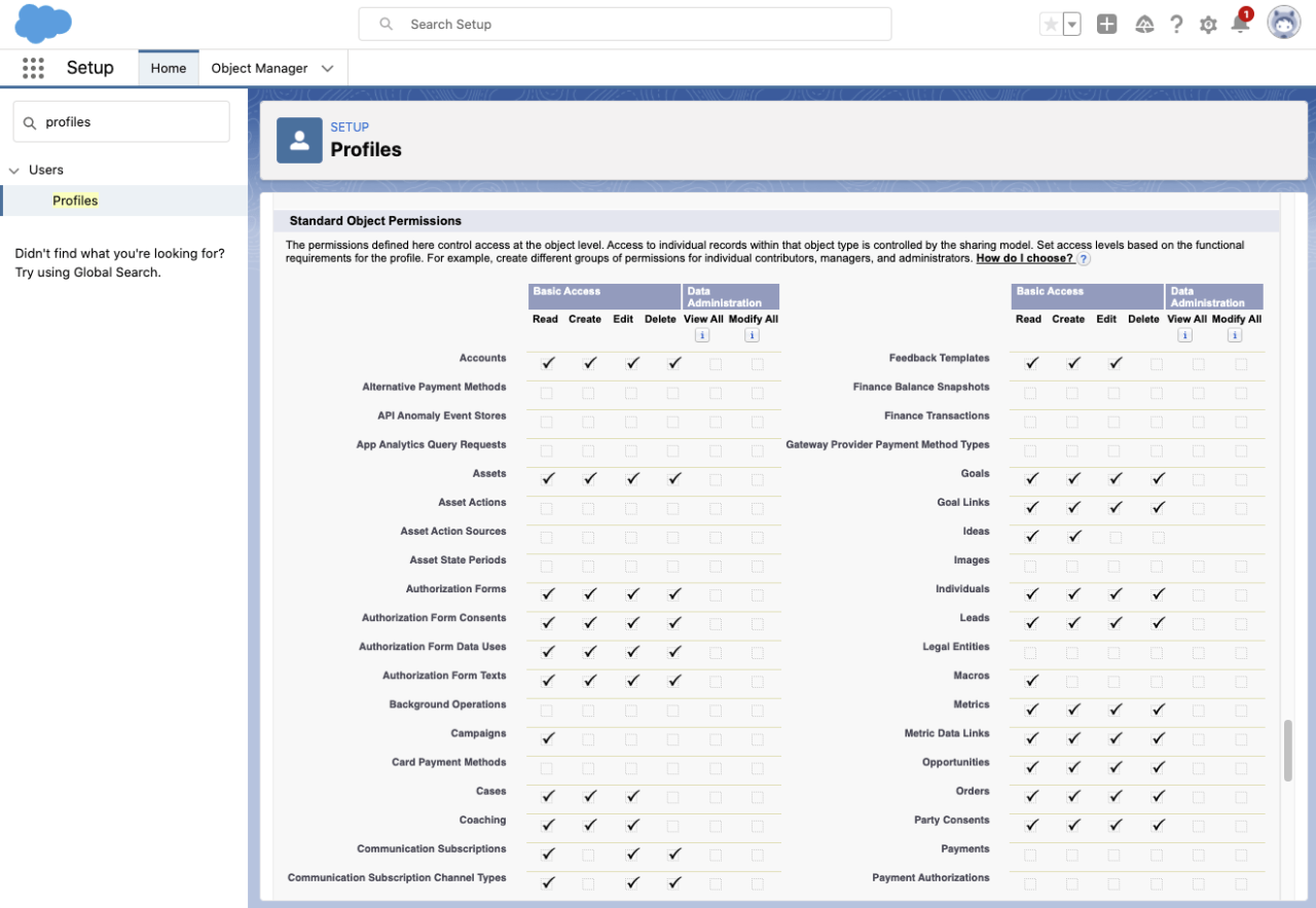 Salesforce Profiles.