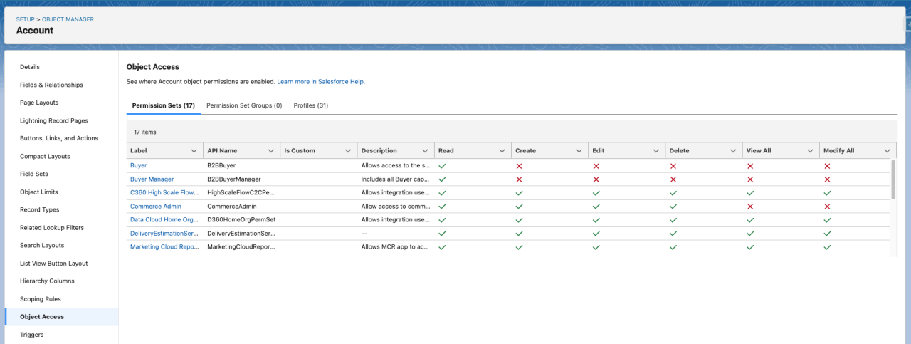 salesforce winter 25 object access.