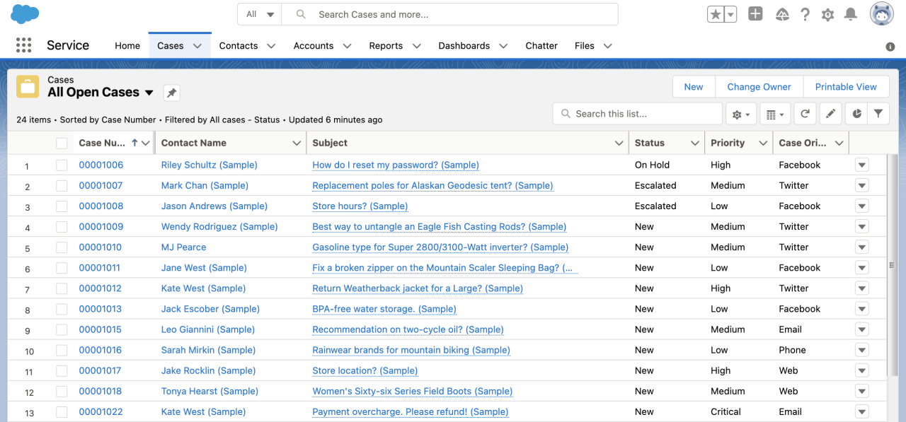 Salesforce Case List View.