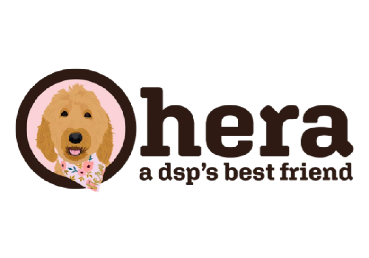 hera solutions inc logo.