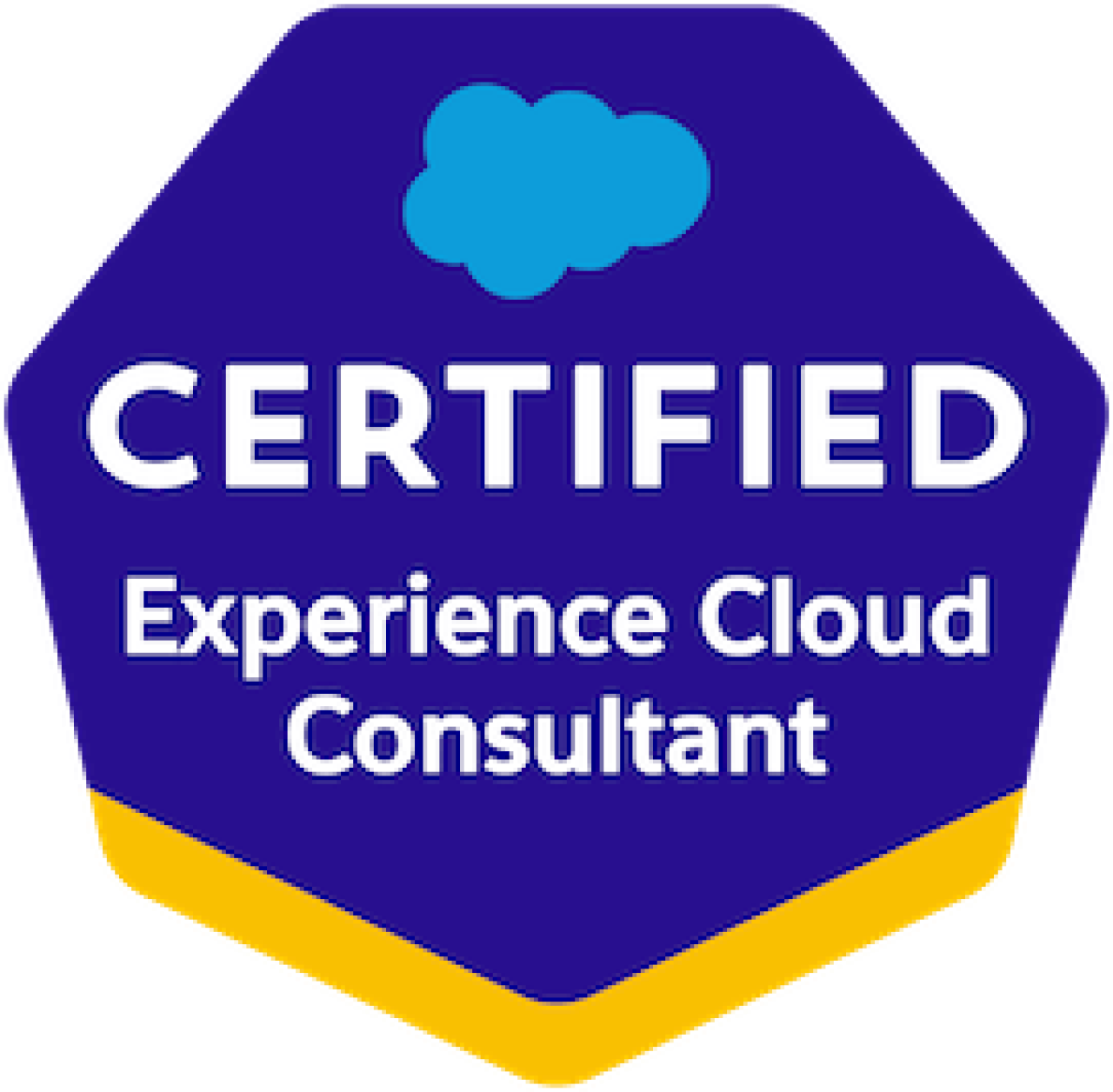Salesforce Certified Experience Cloud Consultant.