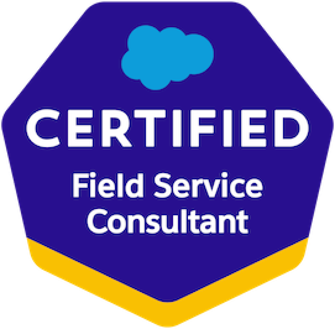 Salesforce Certified Field Service Consultant.