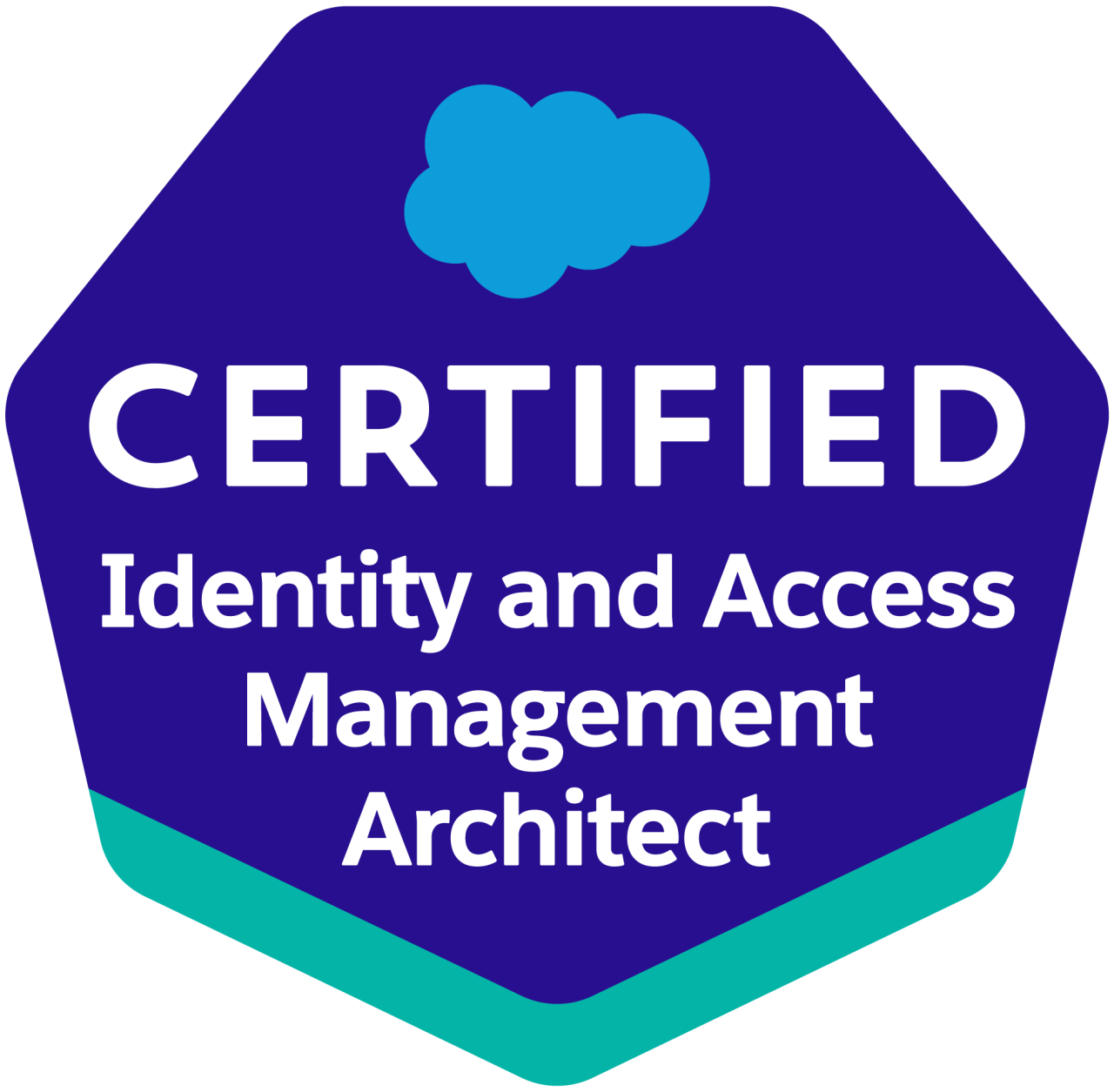 salesforce certified identity and access management architect.