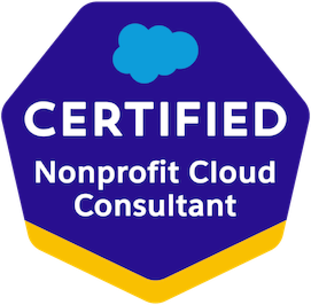 Salesforce Certified Nonprofit Cloud Consultant.