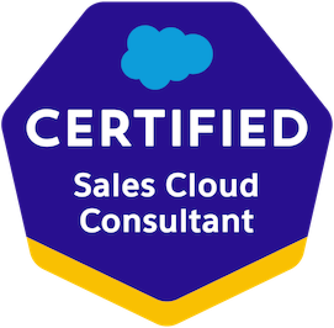 Salesforce Certified Sales Cloud Consultant.