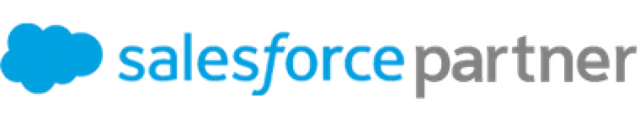 Salesforce Partner badge.