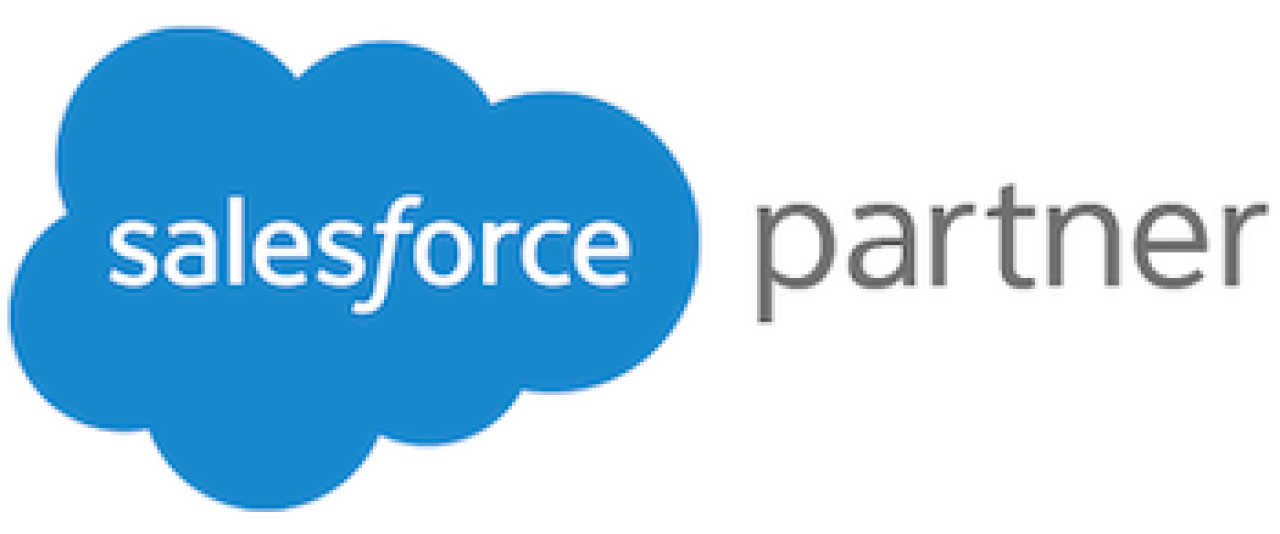Salesforce Partner Logo.