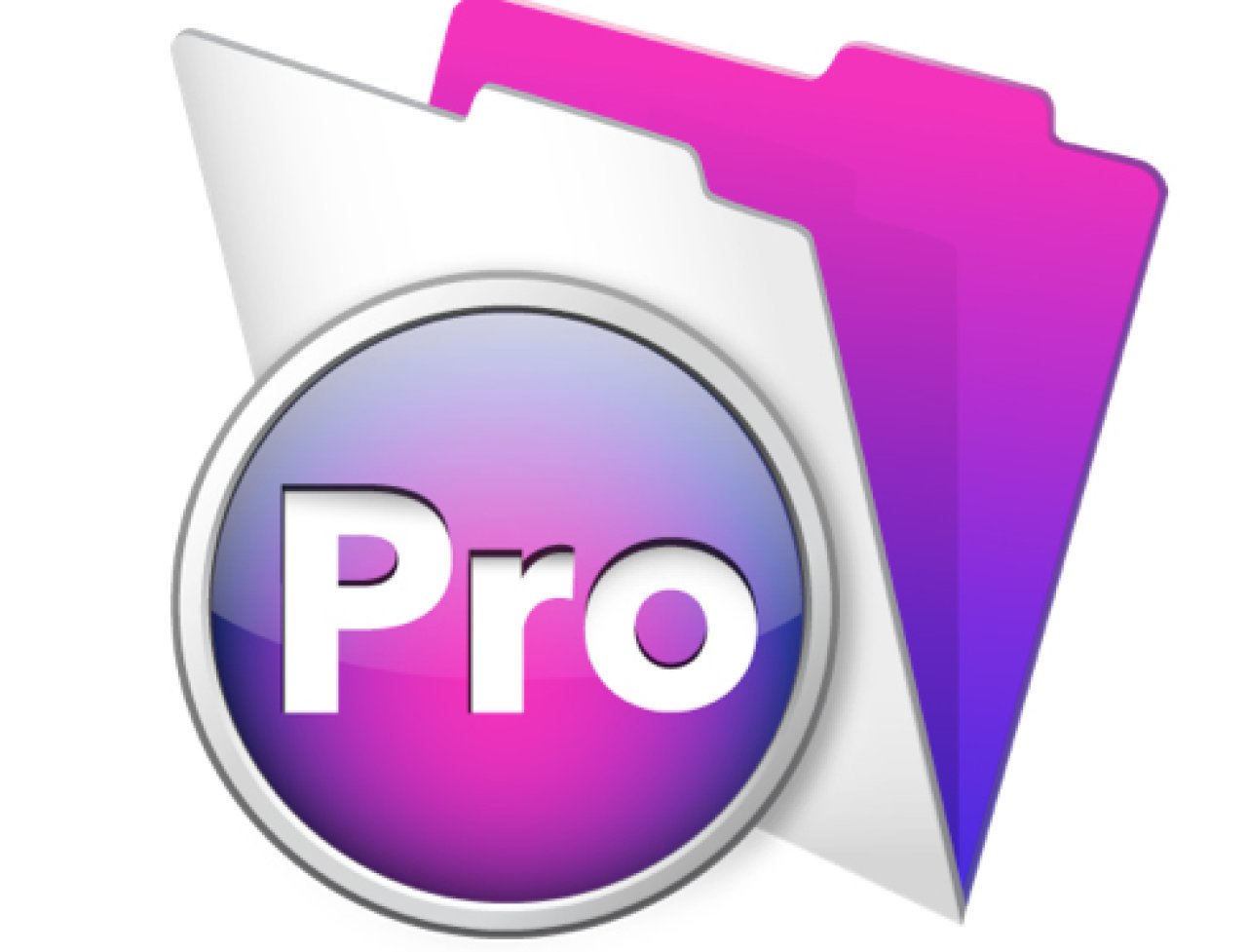 filemaker pro 13.