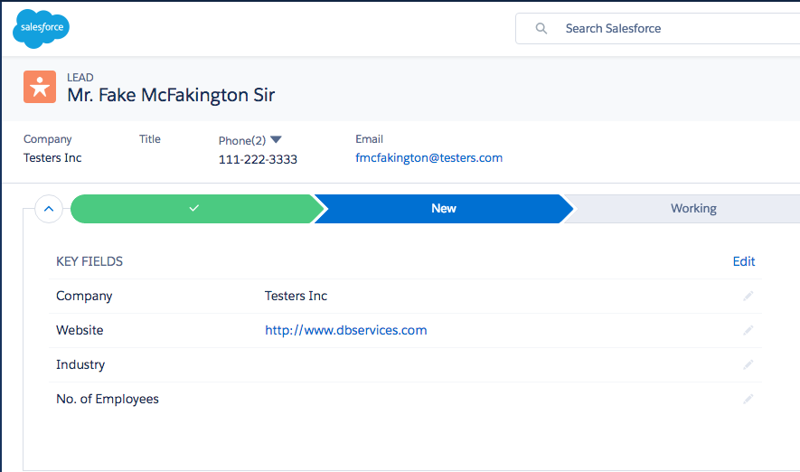 FileMaker New Lead Salesforce